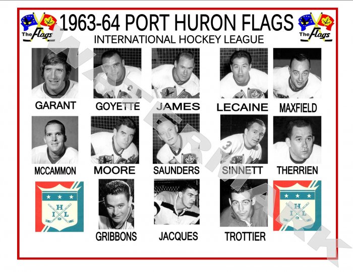 1963-64 PORT HURON FLAGS IHL HEADSHOTS TEAM PHOTO