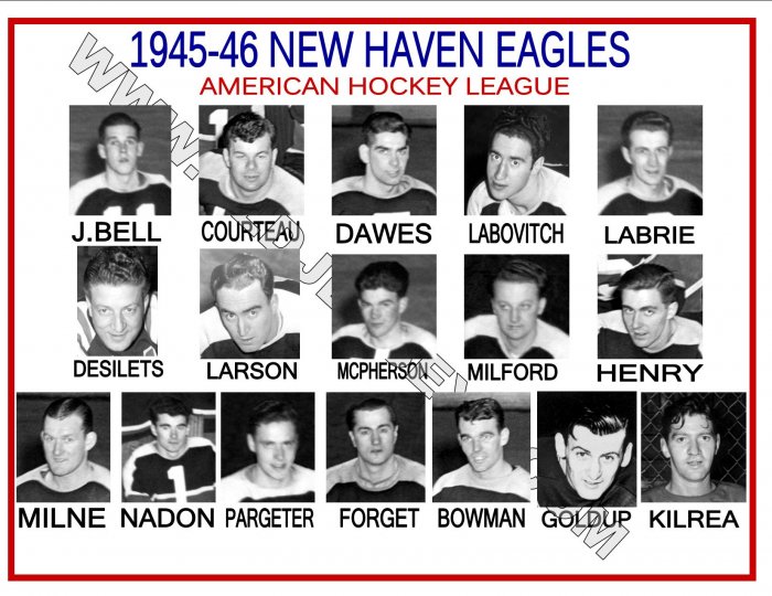 1945-46 NEW HAVEN EAGLES AHL HEADSHOTS TEAM PHOTO