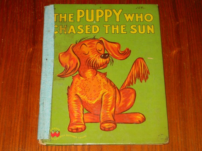 The Puppy Who Chased The Sun