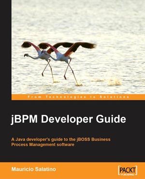 jBPM Developer Guide (With Source Code)