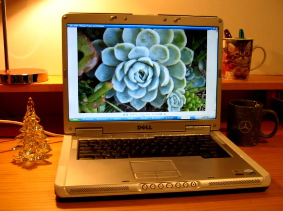 SOLD NEW INTEL CORE DUO DUAL CORE 512Mb RAM Dell Inspiron 6400 e1505 Laptop Notebook PC