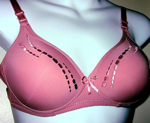 WOMEN'S CLOTHES BRA LINGERIE PANTY SEX nude purple pink T-shirt embroider design