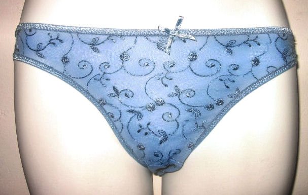LOT OF 2 sz S sky blue mesh floral embroidery women's clothes lingerie sexy