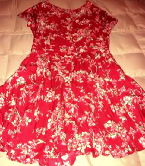 BASS DRESS sz 6 floral PRINT women's clothes shabby chic country red pink button sexy