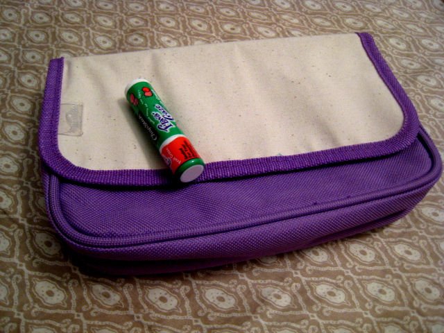 PURPLE MAKEUP POUCH CASE VELCRO CLOSE HEALTH BEAUTY PRODUCTS WOMEN'S ACCESSORY SANFORD RUBBERMAID