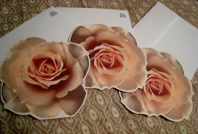 blank FLOWER CARD scrapbooking HALLMARK GIFT FLOWERS HOME GARDEN - PEACH ROSE + FREE CONFETTI