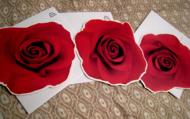 blank FLOWER CARD scrapbooking HALLMARK GIFT FLOWERS HOME GARDEN - red ROSE + FREE CONFETTI