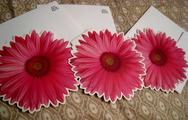 blank FLOWER CARD CARDS GIFT FLOWERS HOME GARDEN - Pink DAISY + FREE CONFETTI scrapbooking