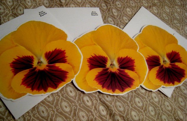 blank FLOWER CARD CARDS GIFT FLOWERS HOME GARDEN - yellow + FREE CONFETTI scrapbooking