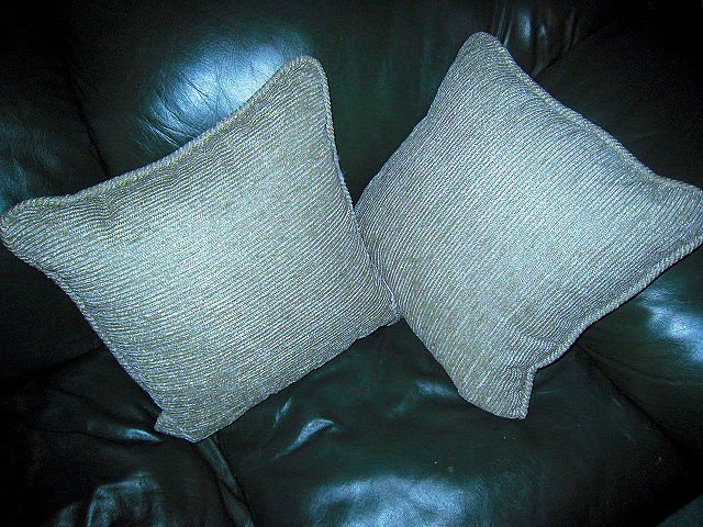 lot 2 pillow pillows sofa home decor brand new olefin made in USA green