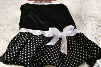 medium dog black polca dot dress cute clothes clothing dress top shirt t-shirt