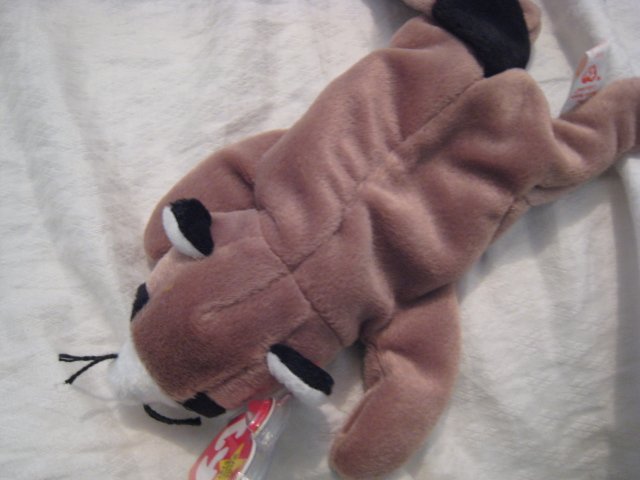 #27 raccoon BEANIE BABY DOLL STUFF ANIMAL TOY KIDS CHILDREN HOME GIFT BIRTHDAY