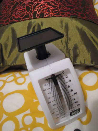 PACKAGING MAILING SCALE 16 OZ. ONLINE SALE SELLING HOME GARDEN COOKING KITCHEN