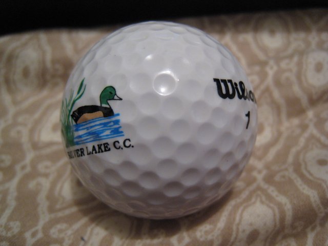 SILVER LAKE WILSON 1 - COLLECTOR'S GOLF BALL SPORTS MEMORABILIA DECORATIVE COLLECTIBLE HOME HOBBY