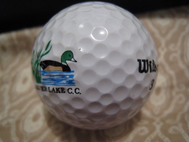 SILVER LAKE WILSON 3 - COLLECTOR'S GOLF BALL SPORTS MEMORABILIA DECORATIVE COLLECTIBLE HOME HOBBY