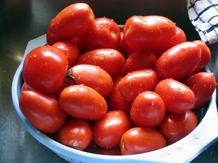 100 ROMA TOMATO SEEDS VEGETABLE GARDEN HOME FAMILY FUN