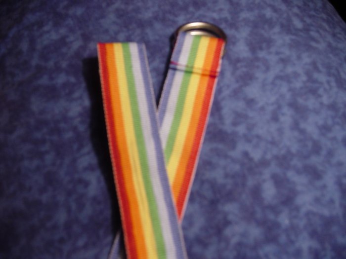 Rainbow D-hoop belt