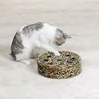 Zanies Leopards Den Kitty Teasers