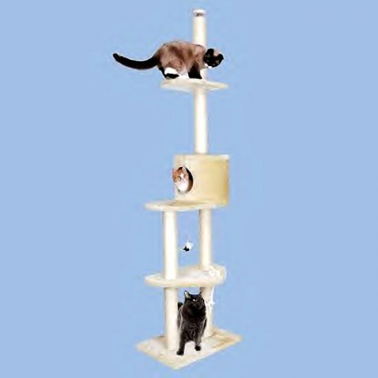 Meow Town Floor To Ceiling Kitty Sky Tower