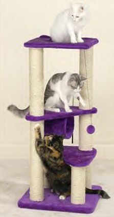 Meow Town Kitty Gyms Purple