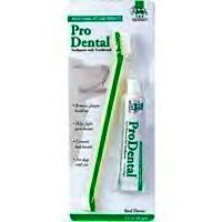 Top Performance ProDental Toothbrush & Toothpaste Set (Mint Flavor)