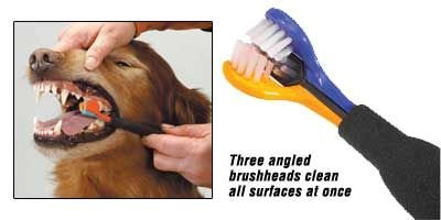ProDental Triple Head Toothbrush