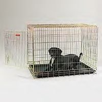 ProSelect Gold Fold-Down Crates (Med 30Lx19Wx22H In)