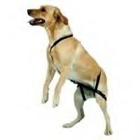 Guardian Gear No Jump Harness