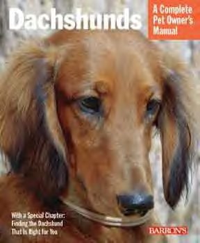 Dachshunds