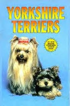 Yorkshire Terriers