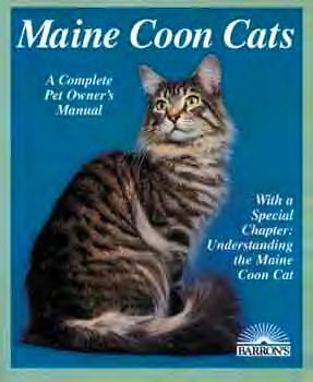 Maine Coon Cats