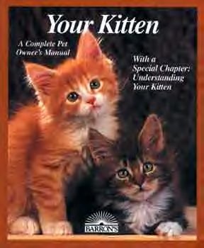 Your Kitten