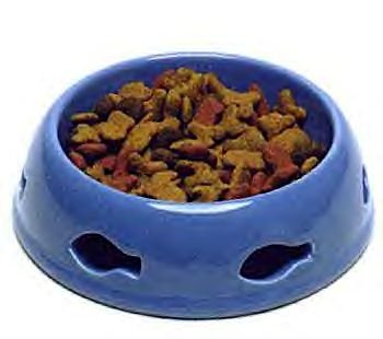 Pierced Dish periwinkle