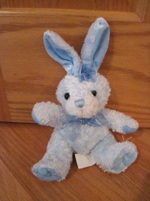 Blue Stuffed Rabbit