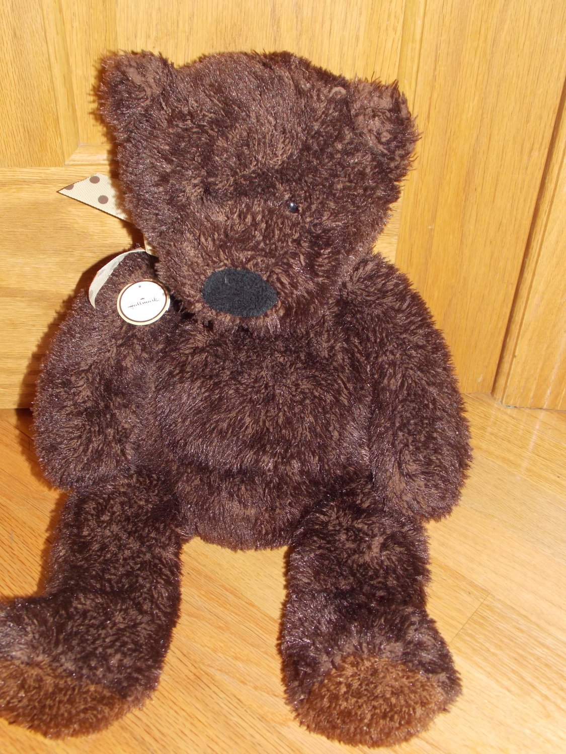 dark teddy