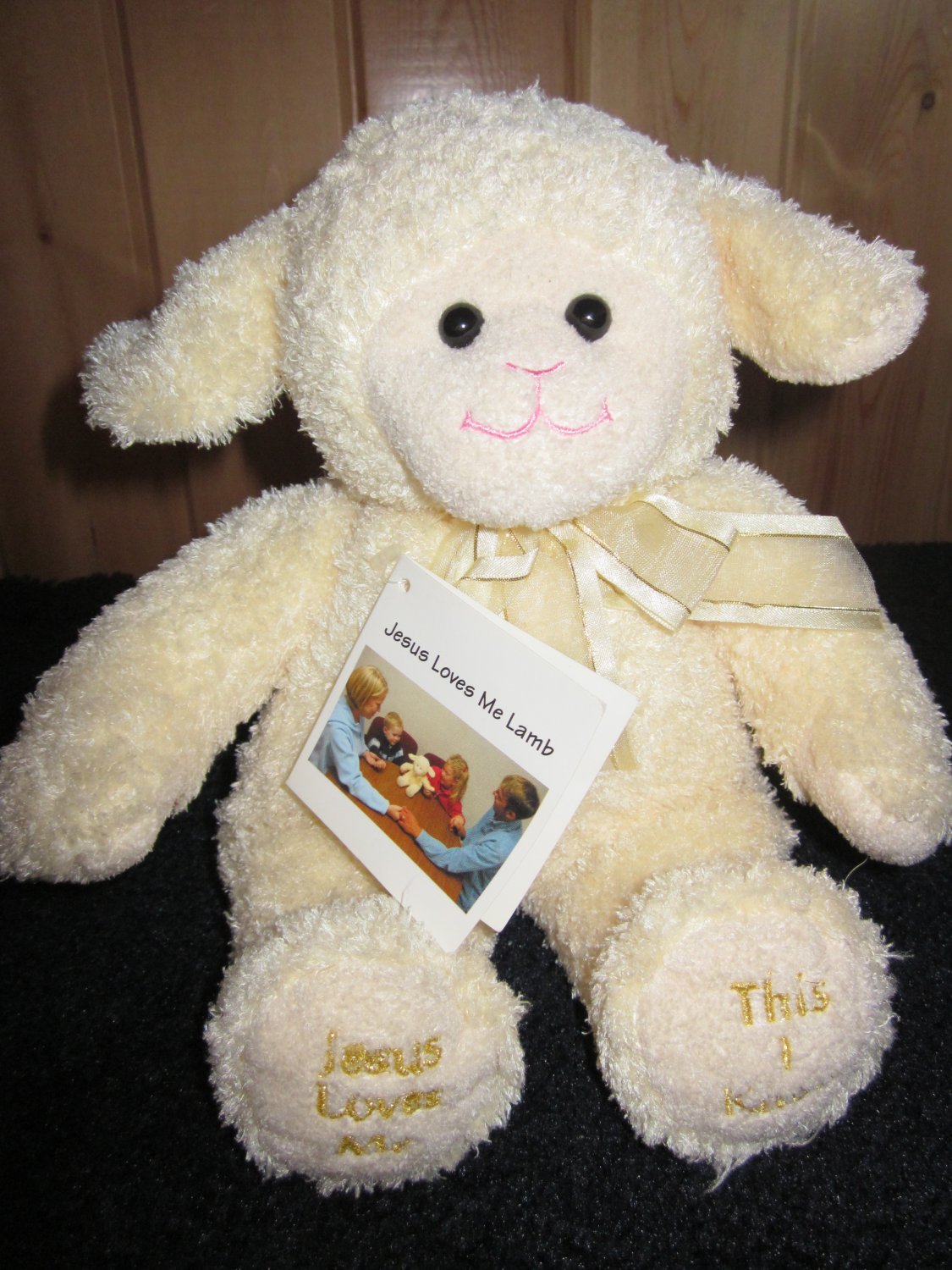 New Princess Soft Toys Jesus Loves Me Lamb Musical Plush Toy