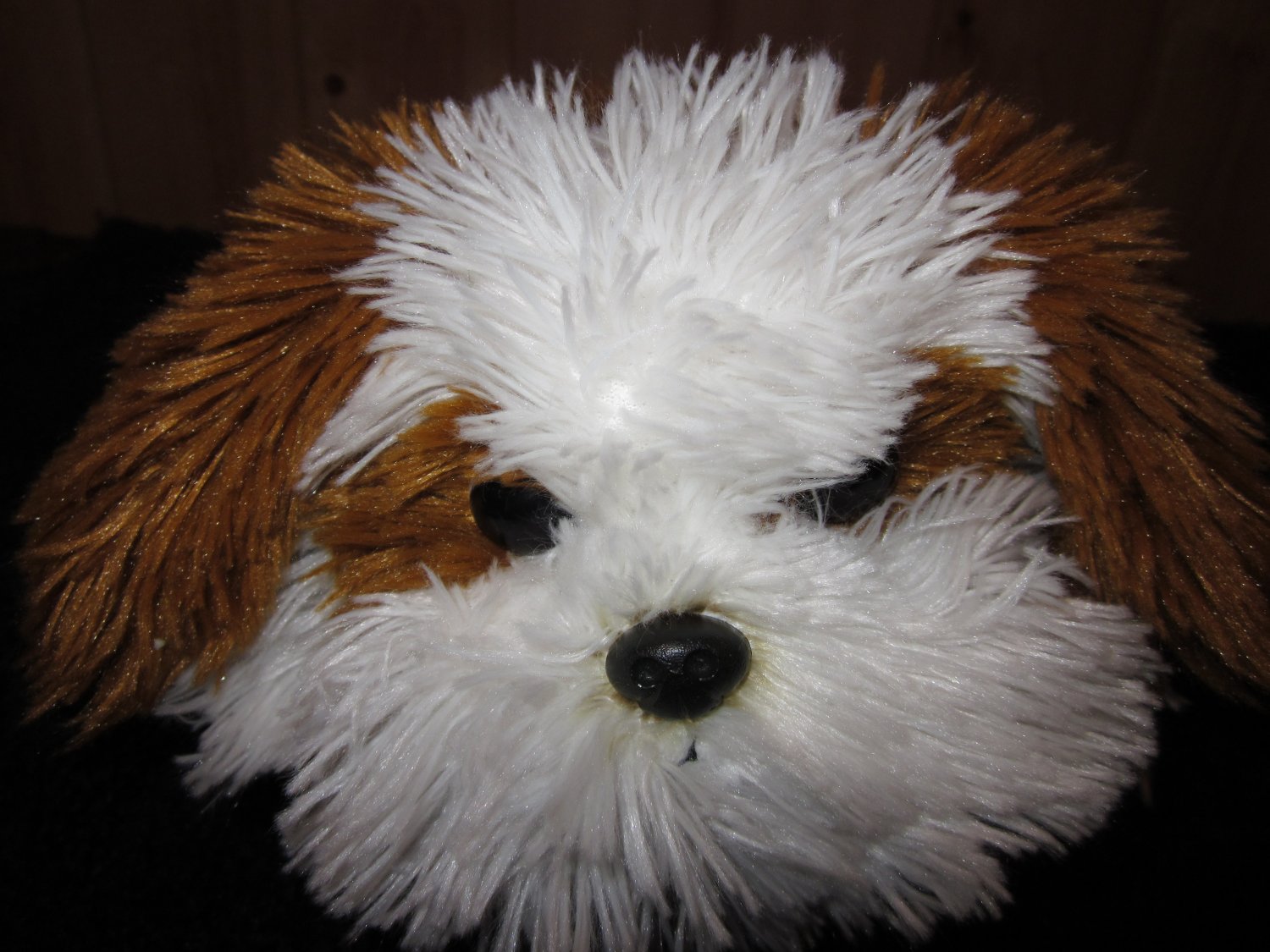 aurora world dog