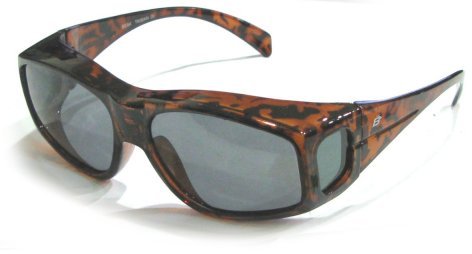 The Beak Sunglasses Tortoise Frames Birdz Eyewear