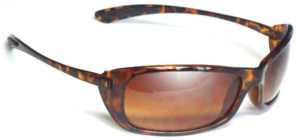The Catbird Ladies Sunglasses Tortoise Shell Frames Birdz Eyewear