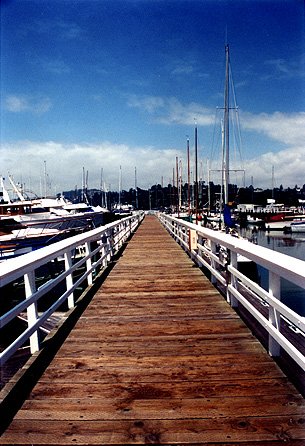 "Sausalito"
