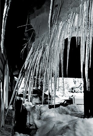 "Winter Thorns"