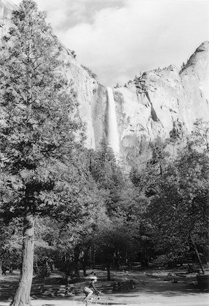"Yosemite Rider"