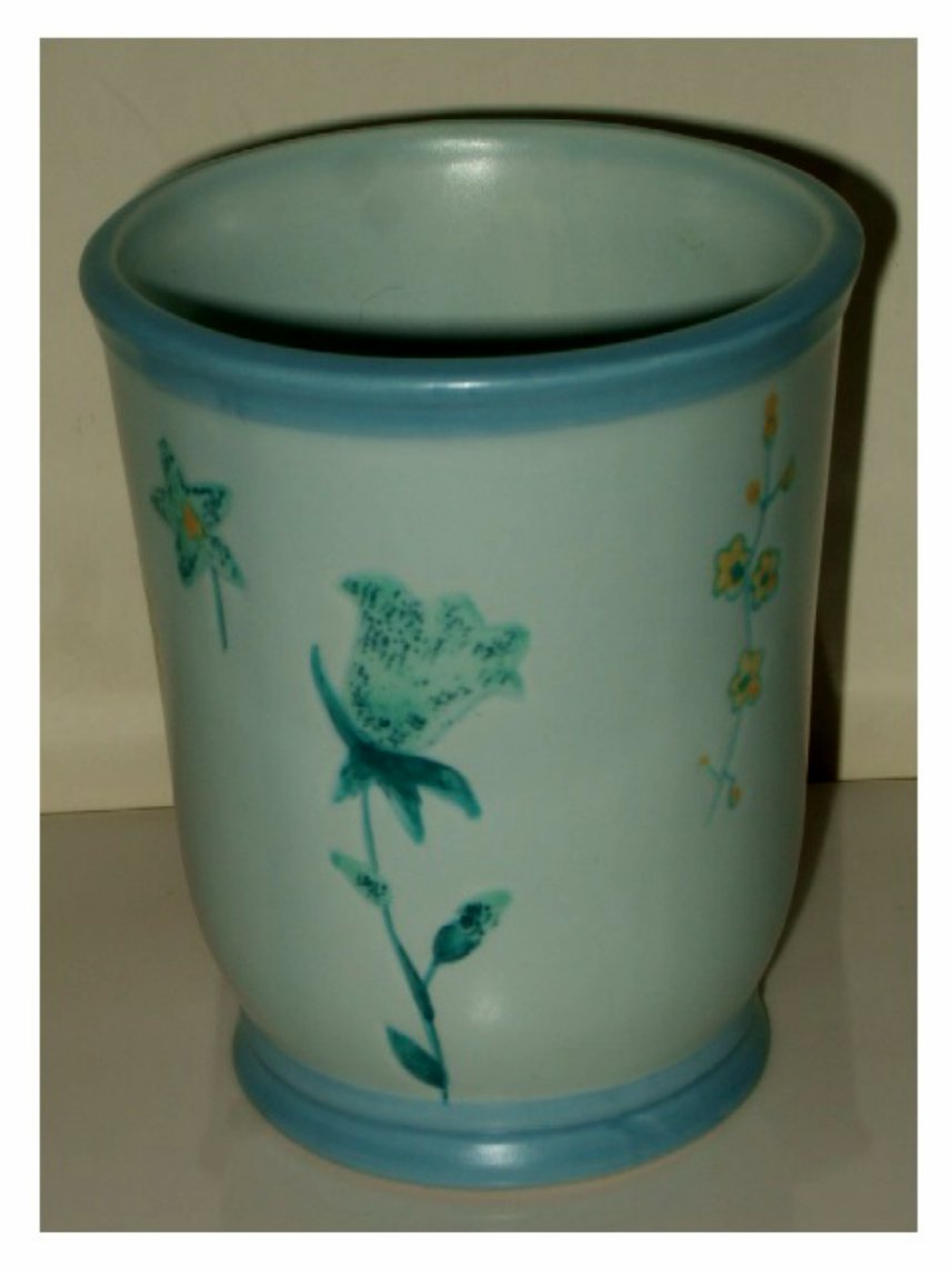 Blue Floral Bathroom Tumbler Popular Bath