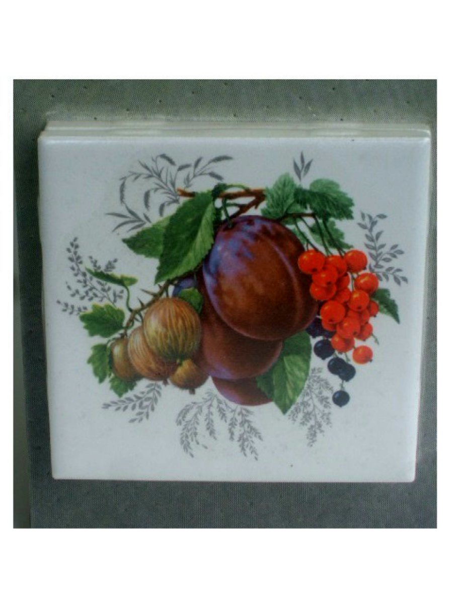 Fruit Themed Coasters Set
