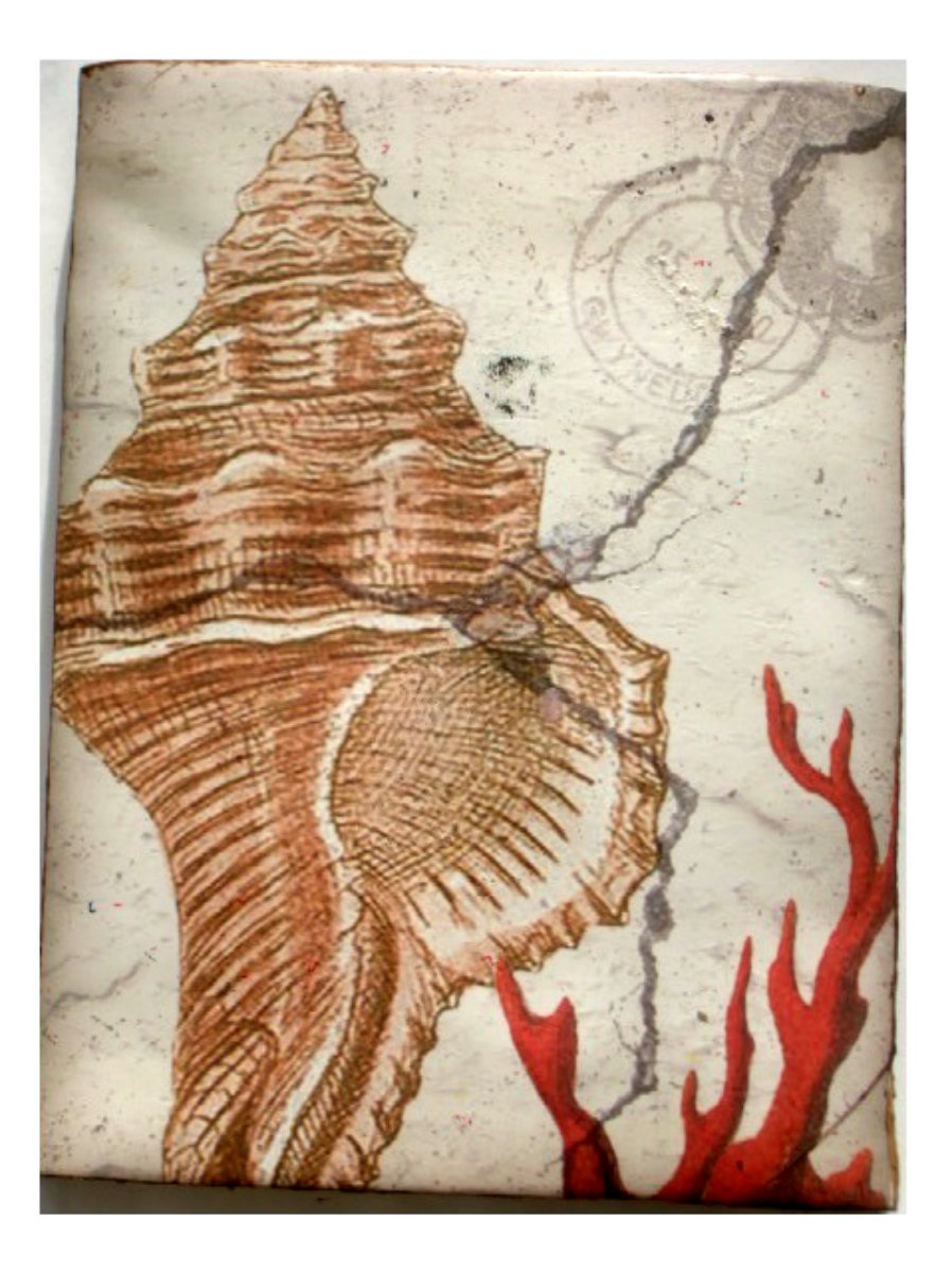 Seashell and Coral Resin Wall Plaque Beach Wall Decor