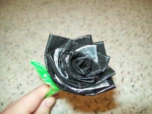 Short-Stemmed Black Rose