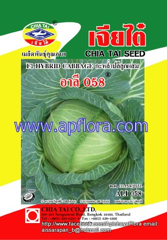 Apichaya Flora Vegetable seeds Cabbage-Ali 058
