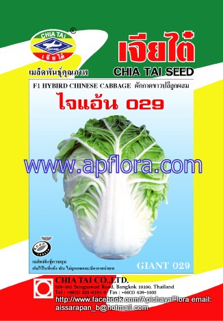 Apichaya Flora Vegetable seeds Chinese Cabbage-Giant-029
