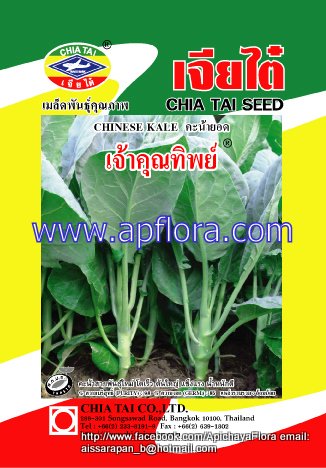 Apichaya Flora Vegetable seeds Chinese Kale-Chaokunthip