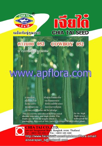Apichaya Flora Vegetable seeds Cowboy 052